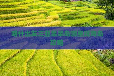 喀什出发三亚呆呆岛哪里玩海岛攻略
