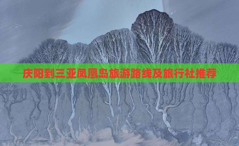 庆阳到三亚凤凰岛旅游路线及旅行社推荐