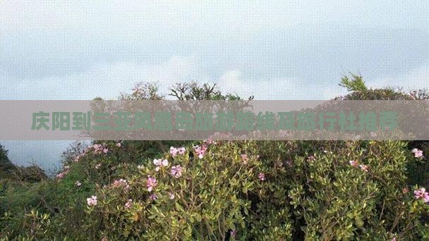 庆阳到三亚凤凰岛旅游路线及旅行社推荐