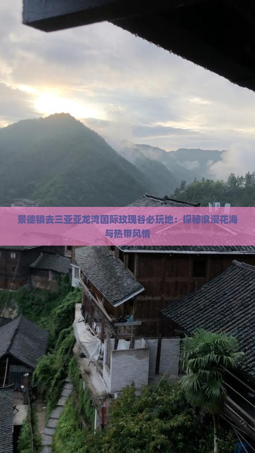 景德镇去三亚亚龙湾国际玫瑰谷必玩地：探秘浪漫花海与热带风情