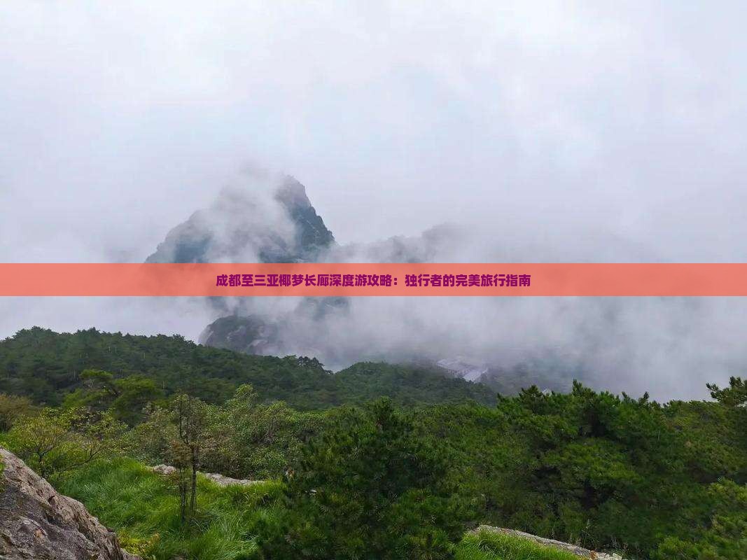 成都至三亚椰梦长廊深度游攻略：独行者的完美旅行指南