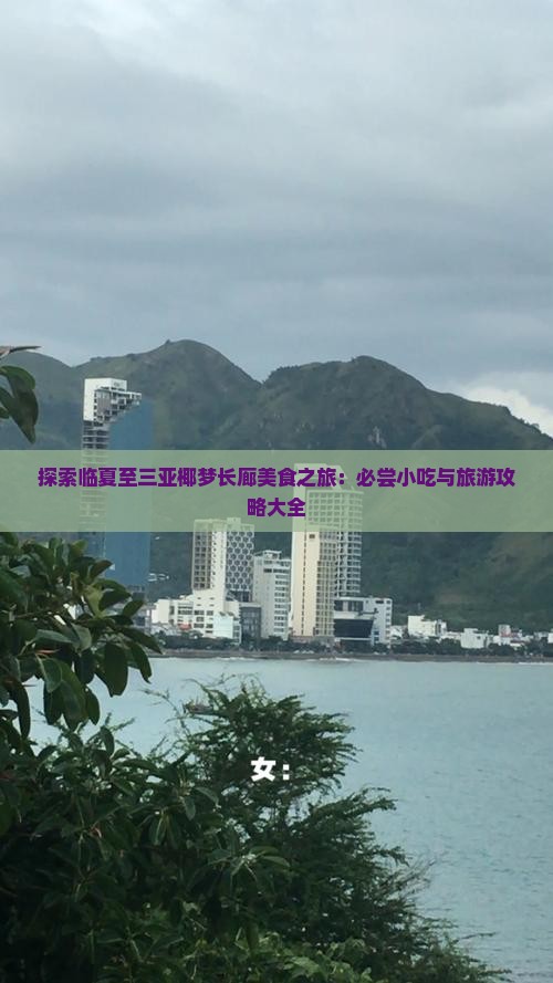 探索临夏至三亚椰梦长廊美食之旅：必尝小吃与旅游攻略大全