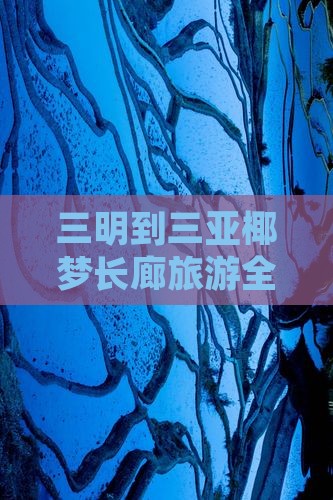 三明到三亚椰梦长廊旅游全攻略
