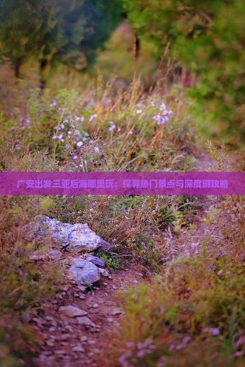 广安出发三亚后海哪里玩：探寻热门景点与深度游攻略