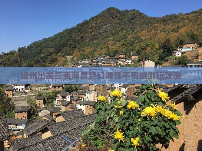 扬州出发三亚海昌梦幻海洋不夜城游玩攻略