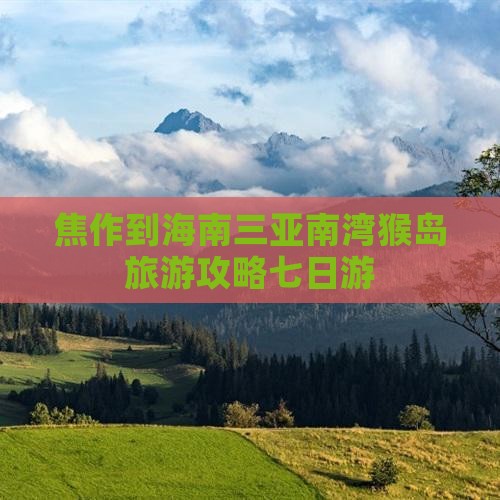 焦作到海南三亚南湾猴岛旅游攻略七日游