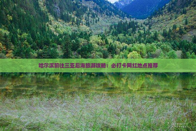 哈尔滨前往三亚后海旅游攻略：必打卡网红地点推荐