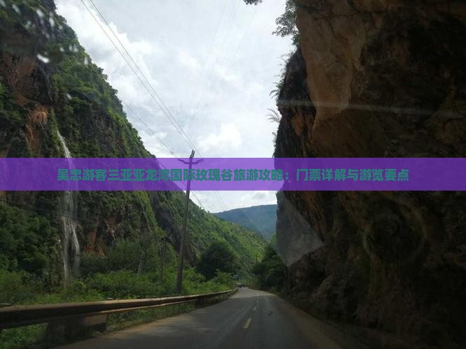 吴忠游客三亚亚龙湾国际玫瑰谷旅游攻略：门票详解与游览要点