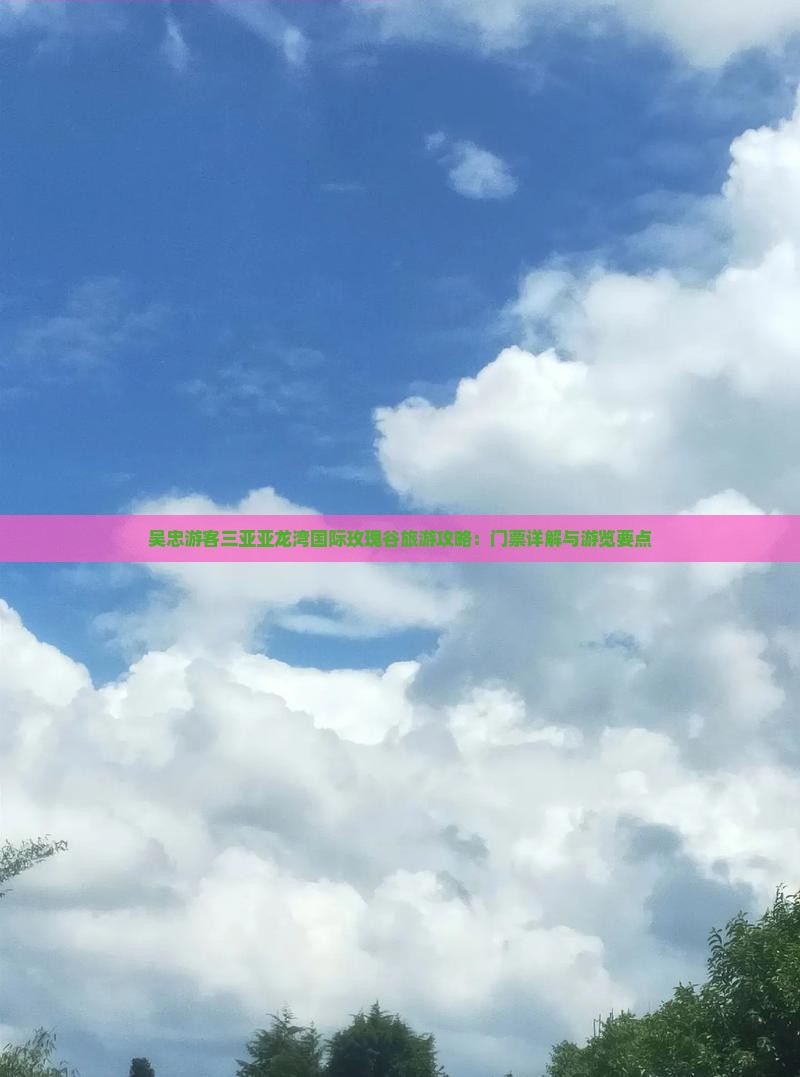 吴忠游客三亚亚龙湾国际玫瑰谷旅游攻略：门票详解与游览要点