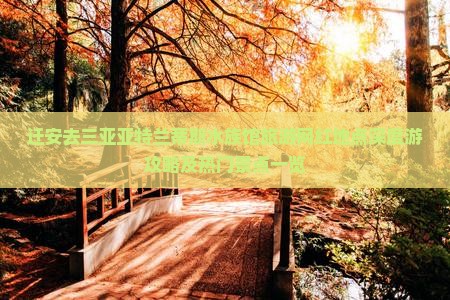 迁安去三亚亚特兰蒂斯水族馆旅游网红地点深度游攻略及热门景点一览