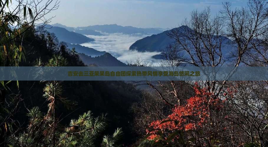 吉安去三亚呆呆岛自由团探索热带风情享受海岛悠闲之旅