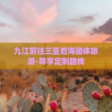 九江前往三亚后海团体旅游-尊享定制路线