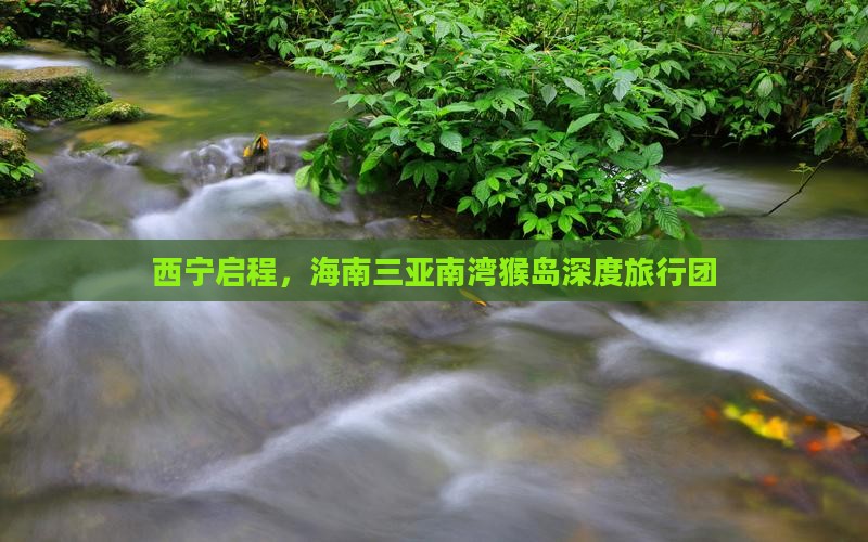 西宁启程，海南三亚南湾猴岛深度旅行团