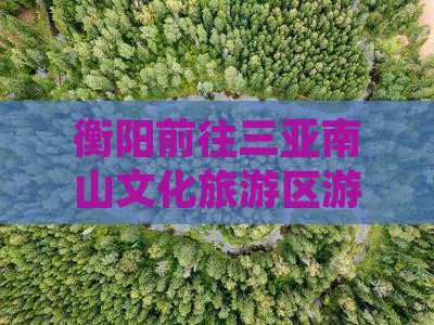 衡阳前往三亚南山文化旅游区游玩攻略