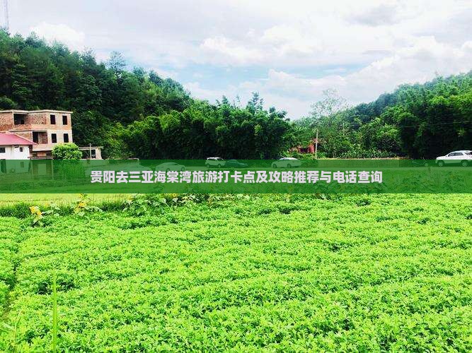 贵阳去三亚海棠湾旅游打卡点及攻略推荐与电话查询