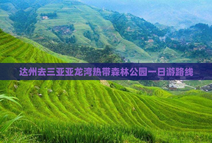 达州去三亚亚龙湾热带森林公园一日游路线