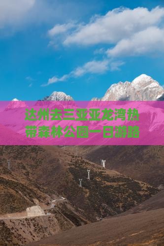 达州去三亚亚龙湾热带森林公园一日游路线
