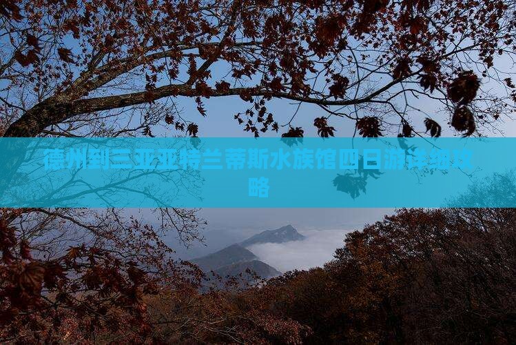 德州到三亚亚特兰蒂斯水族馆四日游详细攻略