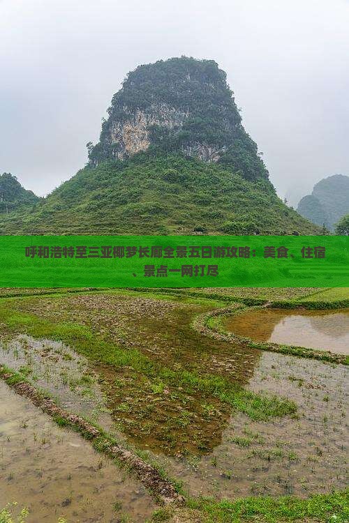 呼和浩特至三亚椰梦长廊全景五日游攻略：美食、住宿、景点一网打尽