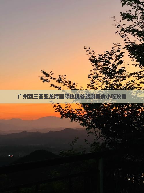 广州到三亚亚龙湾国际玫瑰谷旅游美食小吃攻略