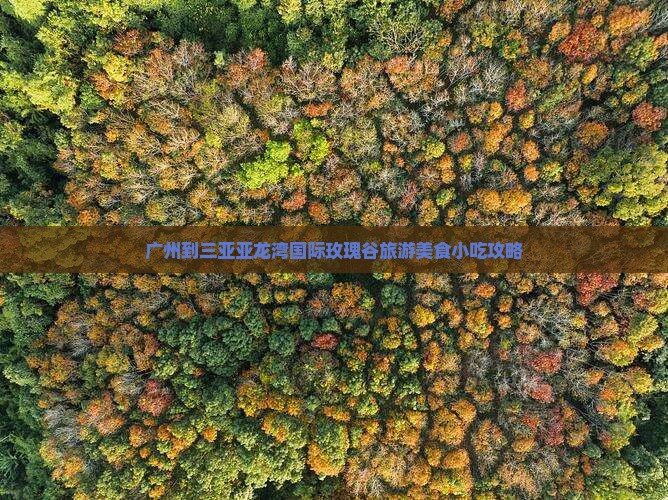 广州到三亚亚龙湾国际玫瑰谷旅游美食小吃攻略