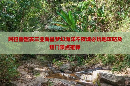 阿拉善盟去三亚海昌梦幻海洋不夜城必玩地攻略及热门景点推荐