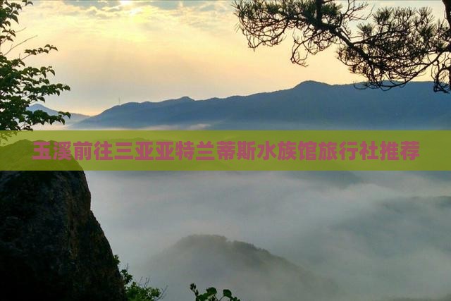 玉溪前往三亚亚特兰蒂斯水族馆旅行社推荐