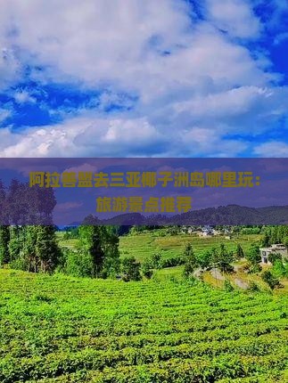 阿拉善盟去三亚椰子洲岛哪里玩：旅游景点推荐