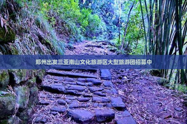 郑州出发三亚南山文化旅游区大型旅游团招募中