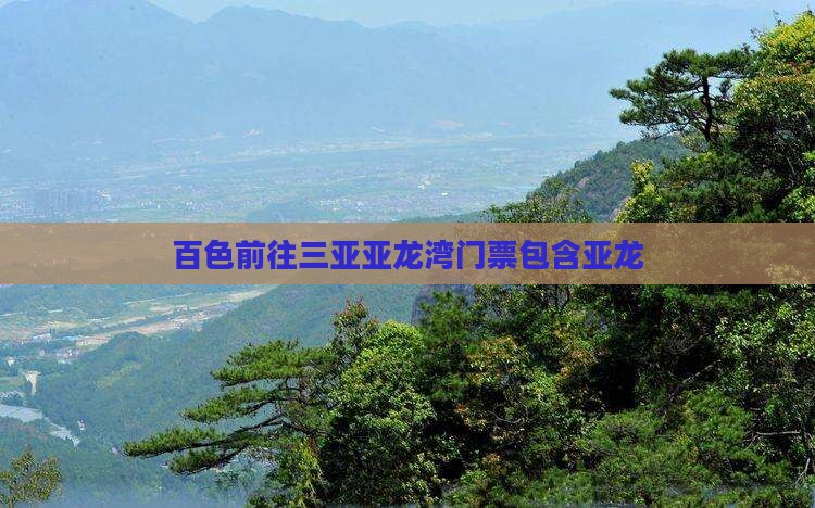 百色前往三亚亚龙湾门票包含亚龙
