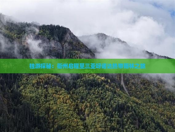 独游探秘：衢州启程至三亚呀诺达热带雨林之旅