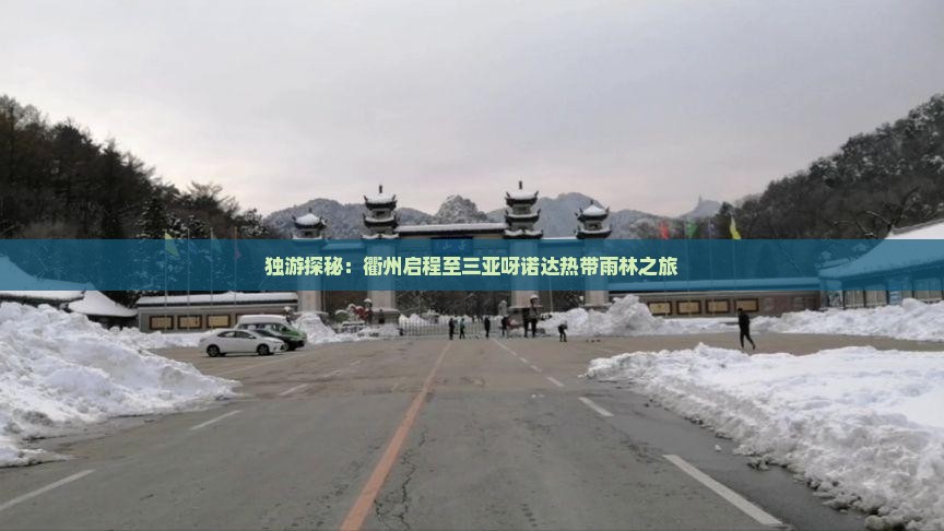独游探秘：衢州启程至三亚呀诺达热带雨林之旅