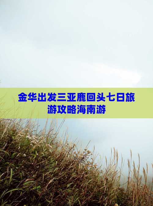 金华出发三亚鹿回头七日旅游攻略海南游