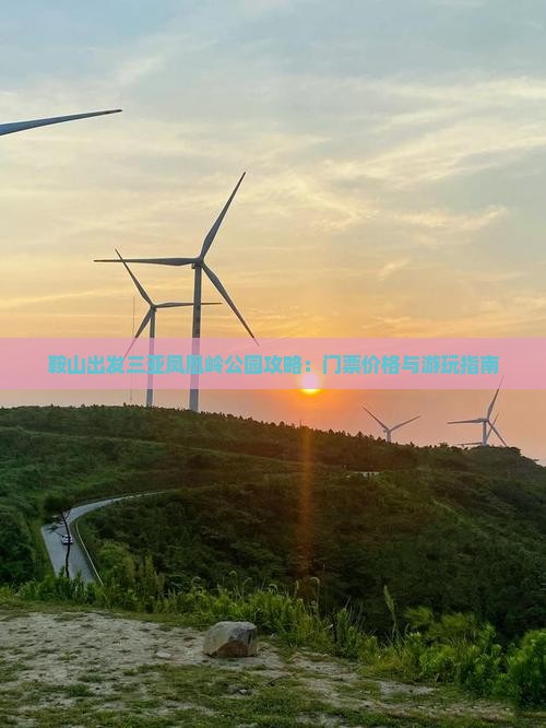 鞍山出发三亚凤凰岭公园攻略：门票价格与游玩指南