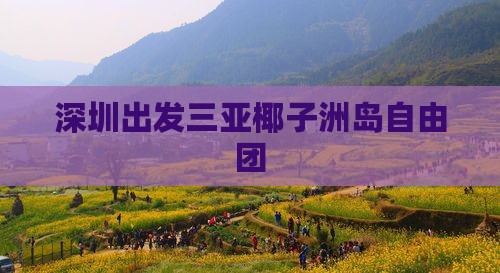 深圳出发三亚椰子洲岛自由团