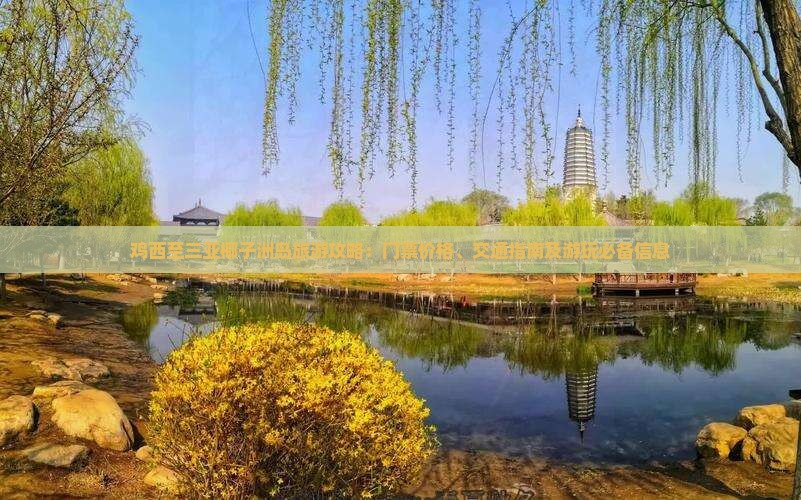鸡西至三亚椰子洲岛旅游攻略：门票价格、交通指南及游玩必备信息