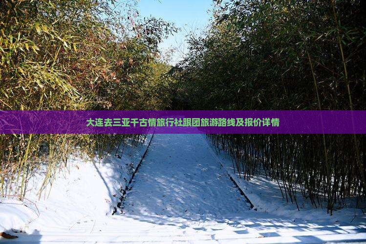 大连去三亚千古情旅行社跟团旅游路线及报价详情