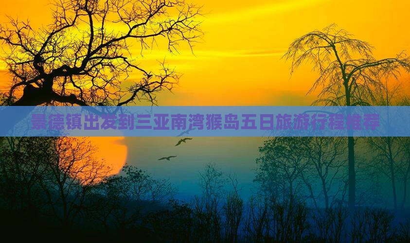 景德镇出发到三亚南湾猴岛五日旅游行程推荐