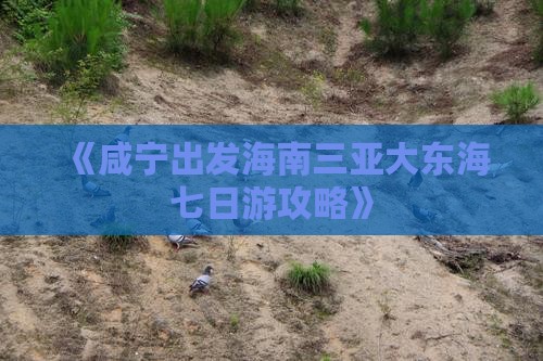 《咸宁出发海南三亚大东海七日游攻略》 《咸宁出发海南三亚大东海七日游攻略》