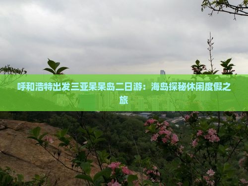 呼和浩特出发三亚呆呆岛二日游：海岛探秘休闲度假之旅