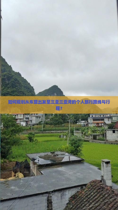 如何规划从东营出发至三亚三亚湾的个人旅行路线与行程？