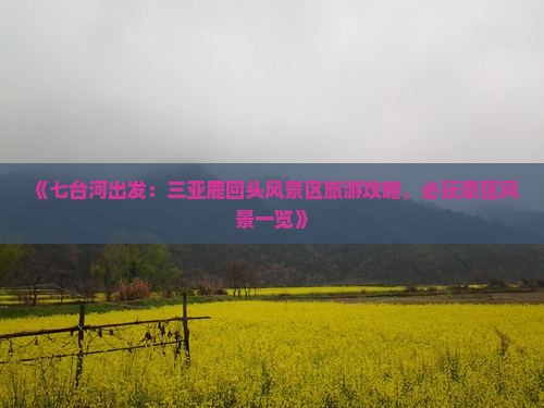 《七台河出发：三亚鹿回头风景区旅游攻略，必玩景区风景一览》