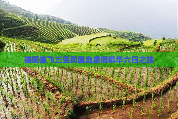 德阳直飞三亚凤凰岛度假精华六日之旅