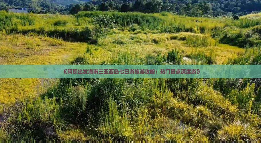 《阿坝出发海南三亚西岛七日游旅游攻略：热门景点深度游》