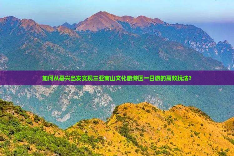 如何从嘉兴出发实现三亚南山文化旅游区一日游的高效玩法？