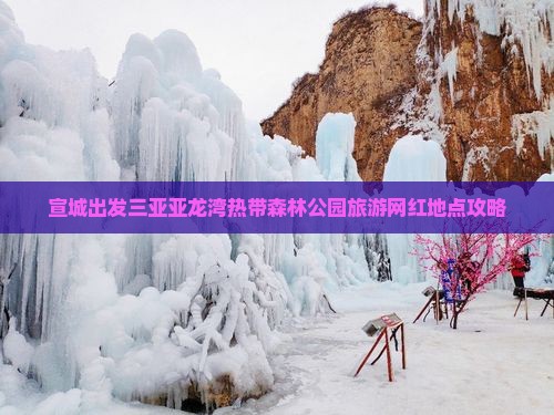 宣城出发三亚亚龙湾热带森林公园旅游网红地点攻略