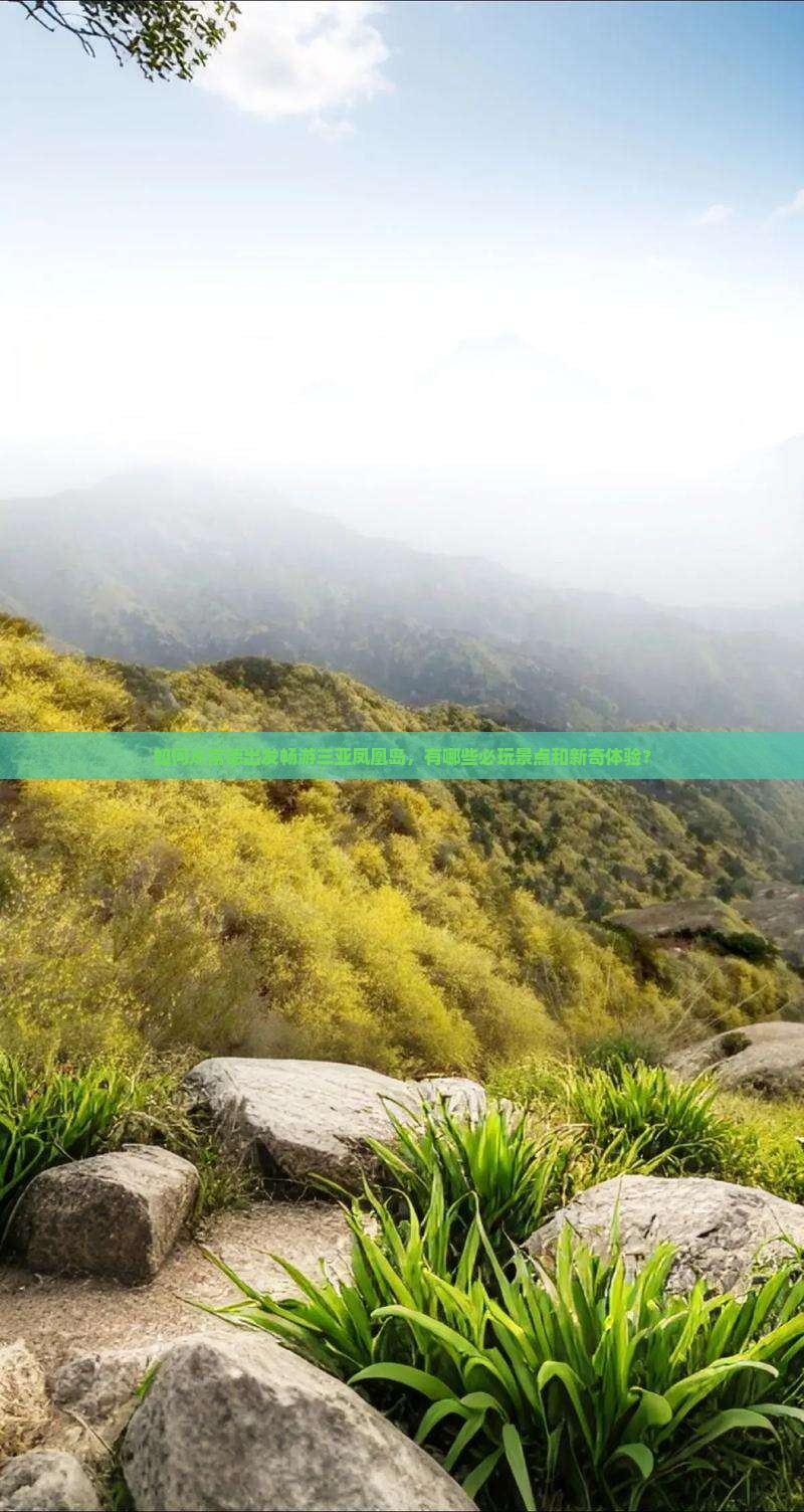 如何从常德出发畅游三亚凤凰岛，有哪些必玩景点和新奇体验？