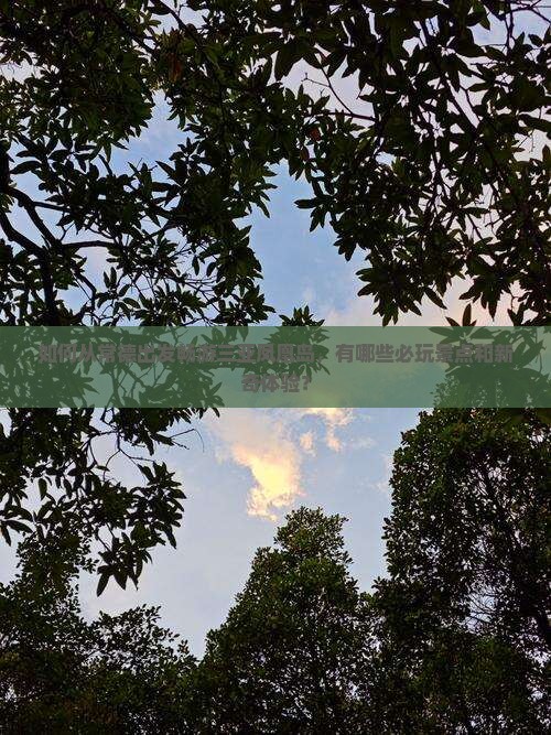 如何从常德出发畅游三亚凤凰岛，有哪些必玩景点和新奇体验？