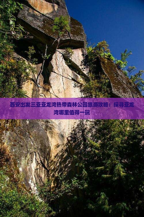 西安出发三亚亚龙湾热带森林公园旅游攻略：探寻亚龙湾哪里值得一玩