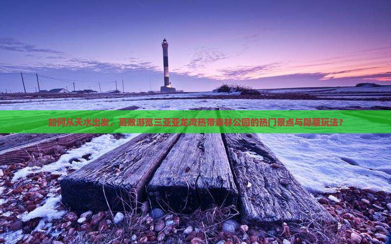 如何从天水出发，高效游览三亚亚龙湾热带森林公园的热门景点与隐藏玩法？